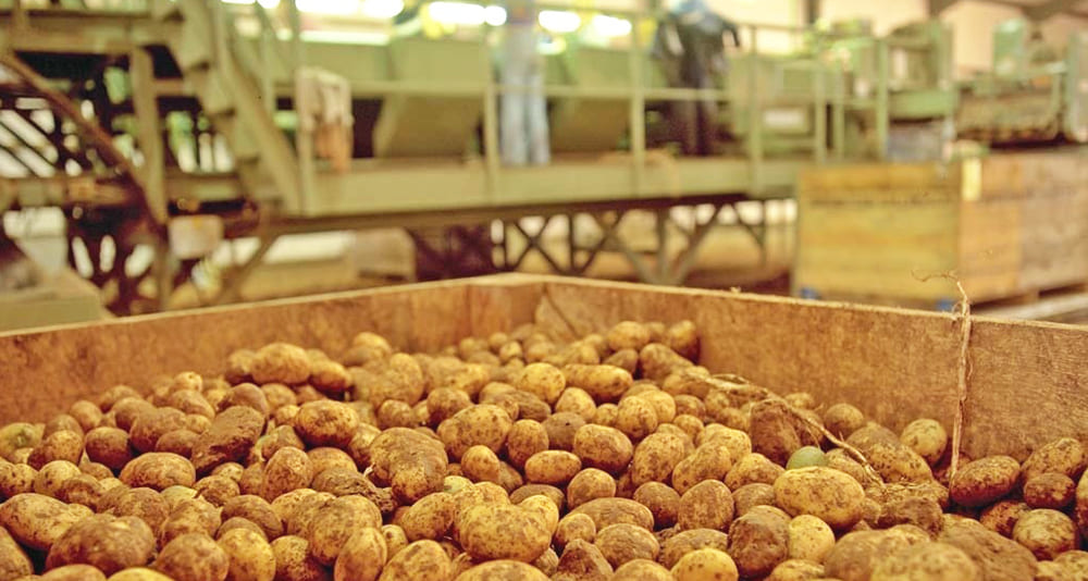 Additional Liability Company “RUS”