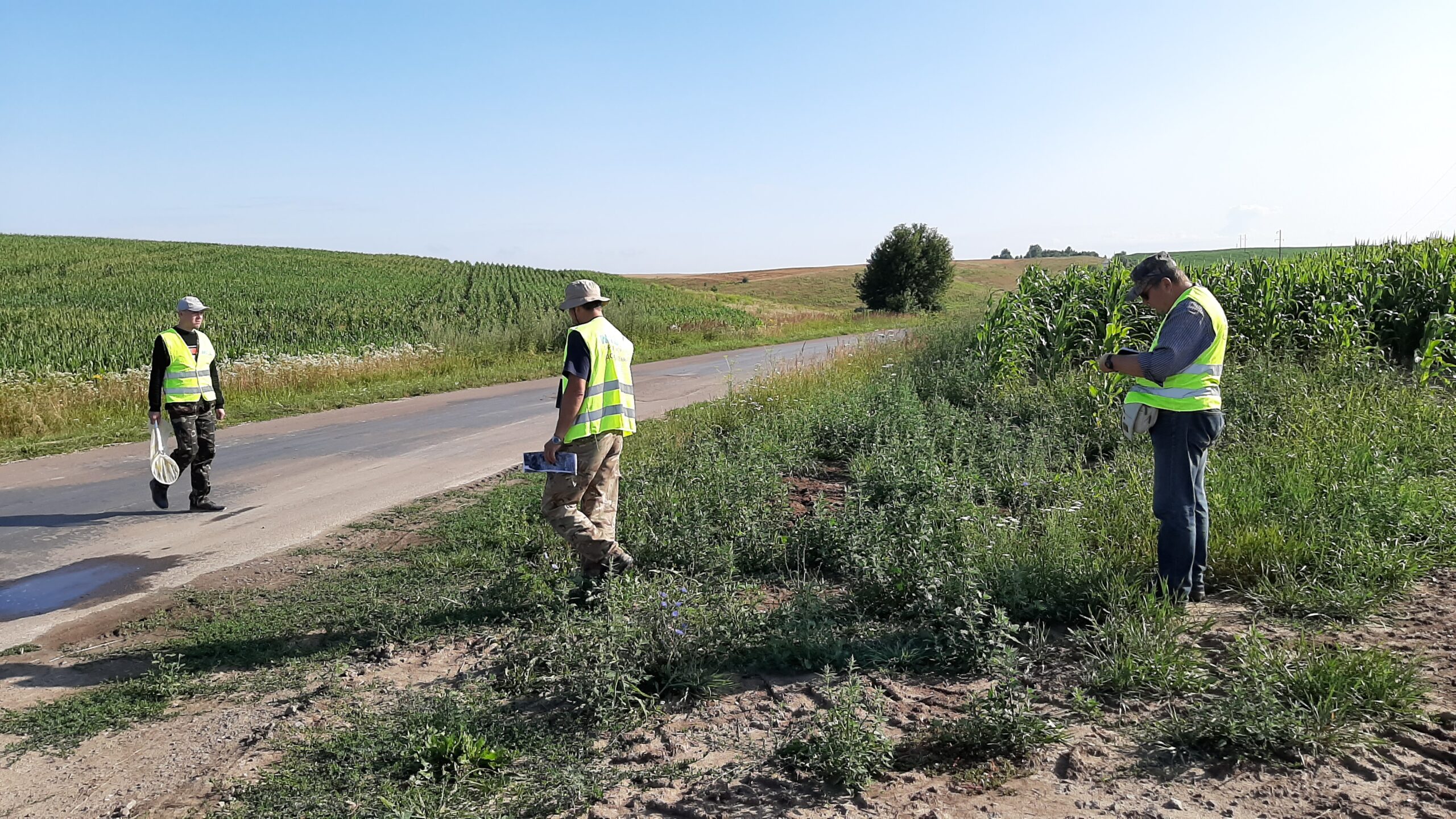 Экология и охрана окружающей среды