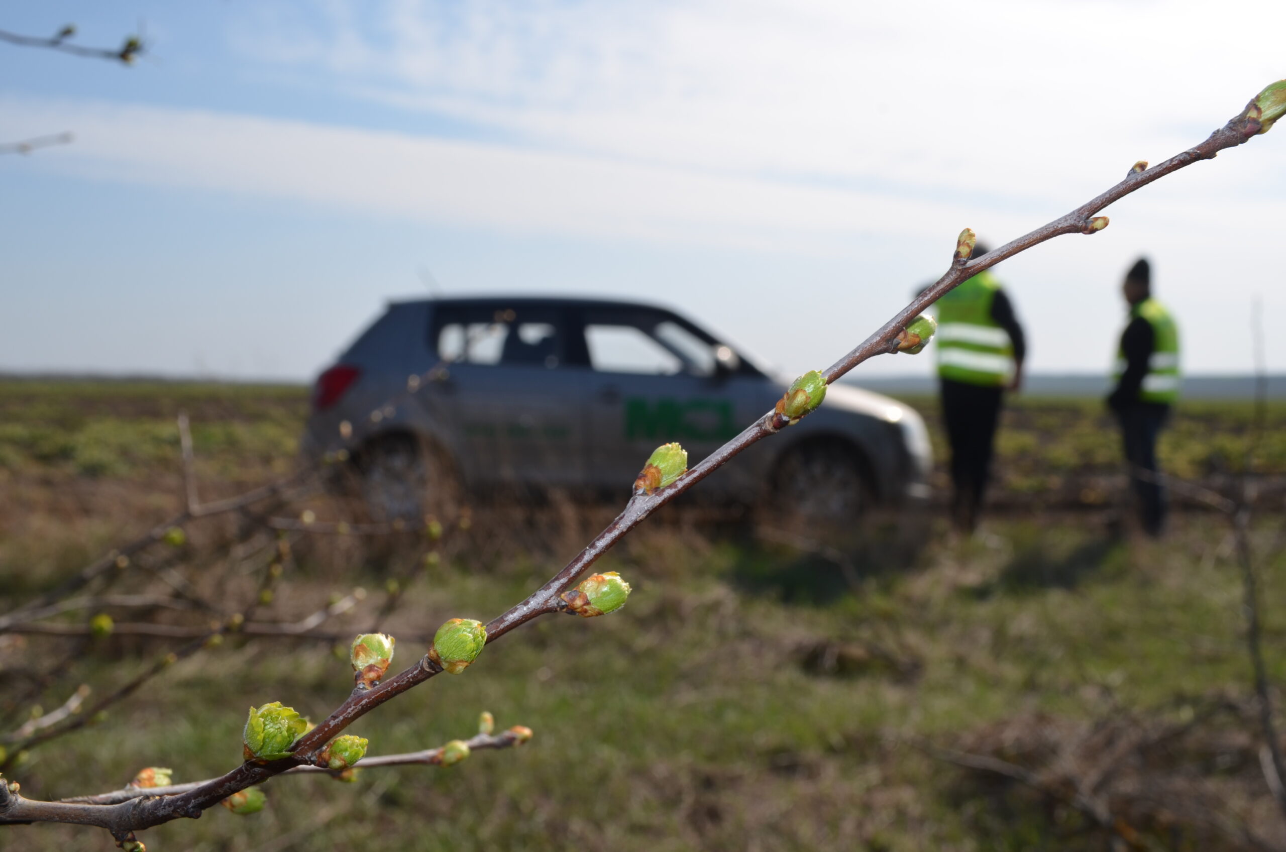 Экология и охрана окружающей среды