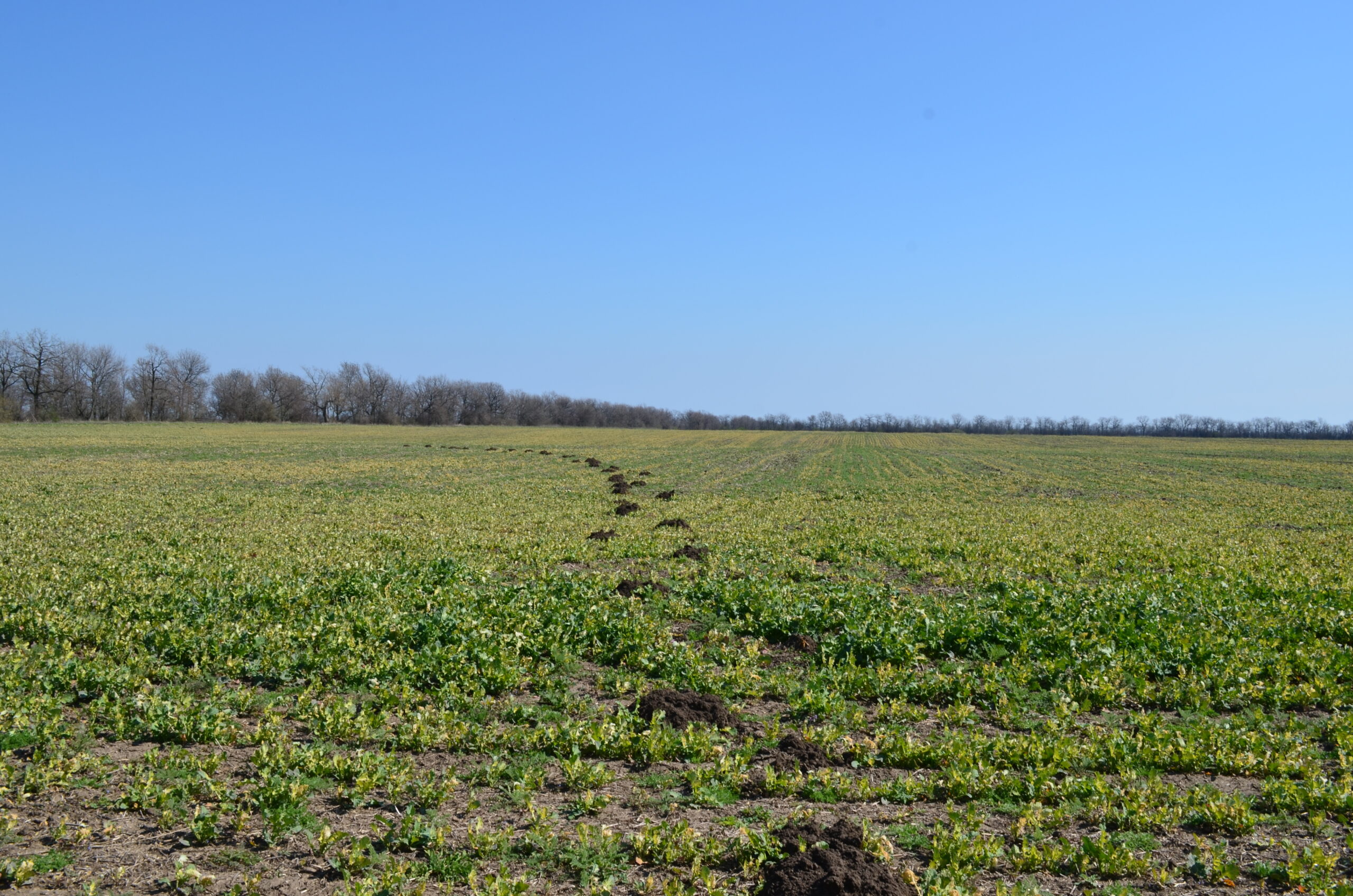 Экология и охрана окружающей среды