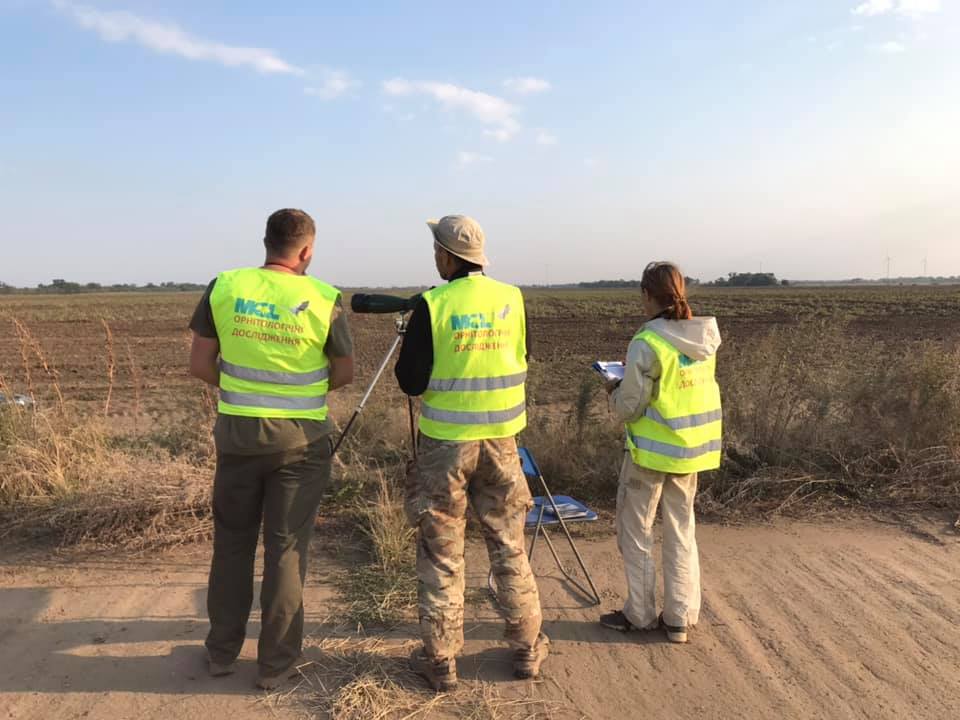 Экология и охрана окружающей среды