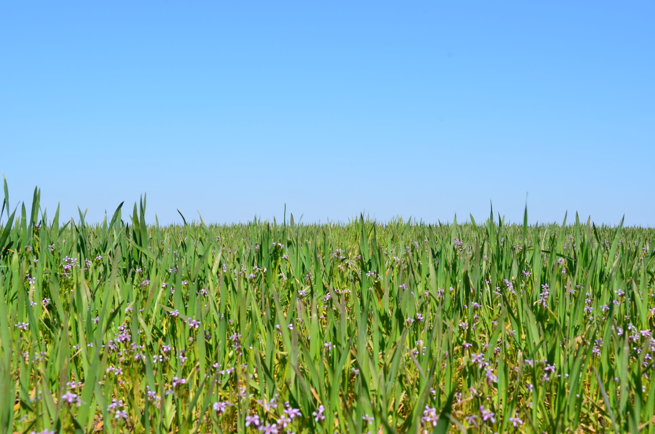 Экология и охрана окружающей среды