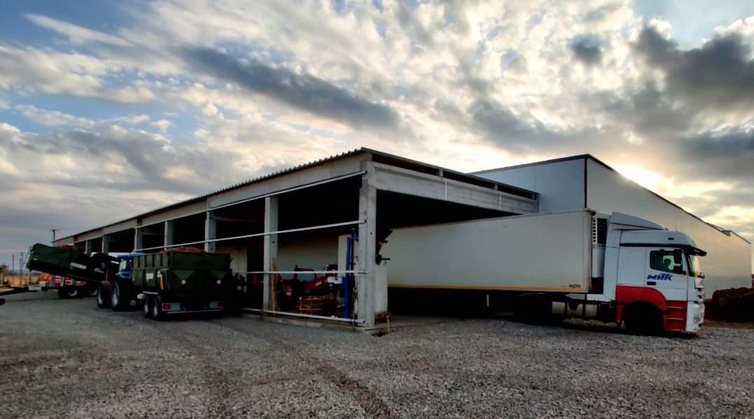 BESTPOTATO – processing and storing of potatoes BESTPOTATO – processing and storing of potatoes