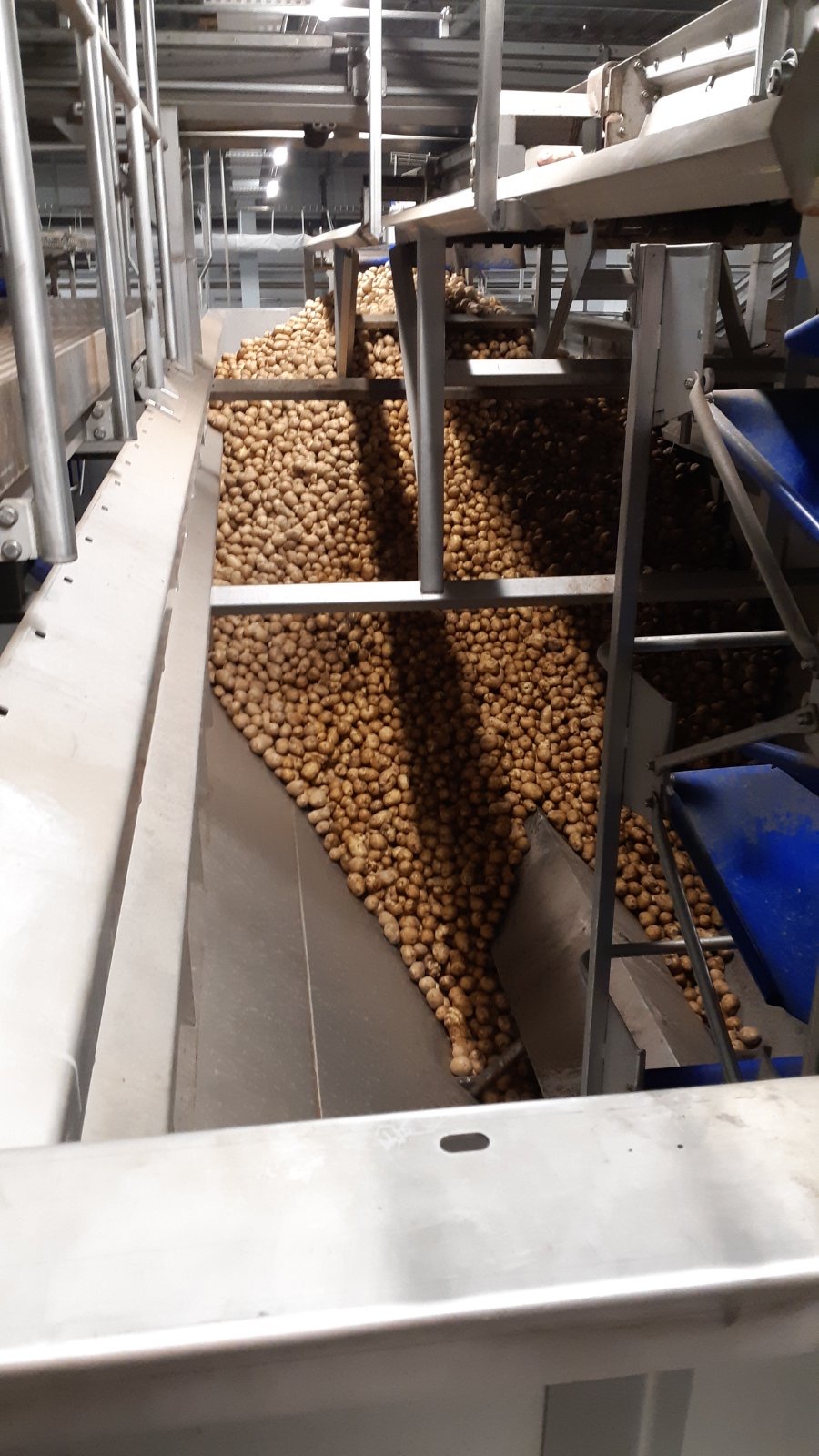 PEPSICO – виробництво картопляних чіпсів LAYS PEPSICO – виробництво картопляних чіпсів LAYS