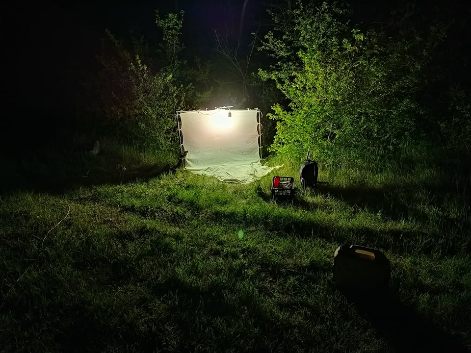 Экология и охрана окружающей среды