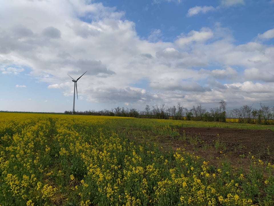 Экология и охрана окружающей среды