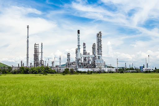 Глибока переробка зерна кукурудзи в Україні