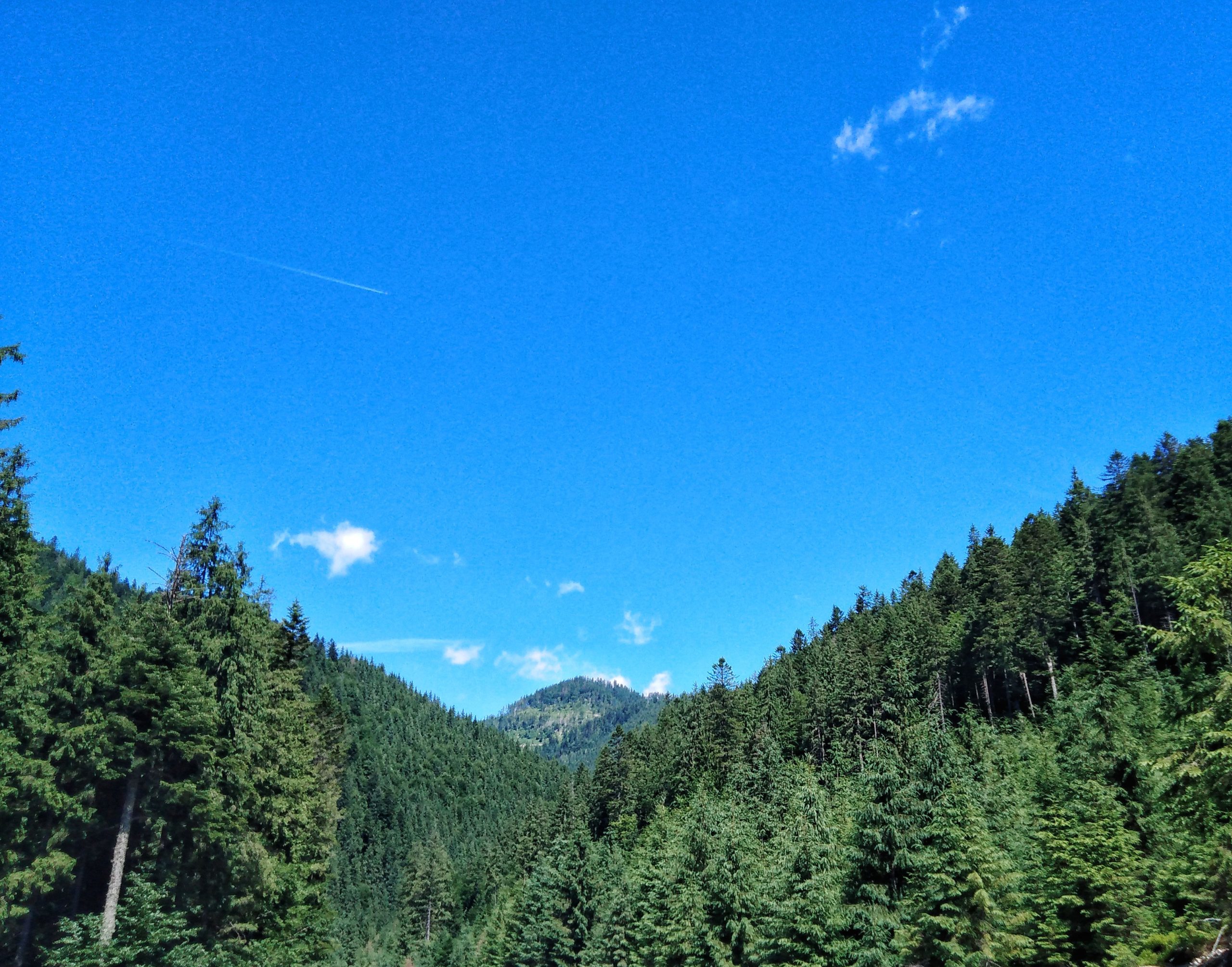 Природні території та об’єкти природно-заповідного фонду (ПЗФ) України. Смарагдова мережа