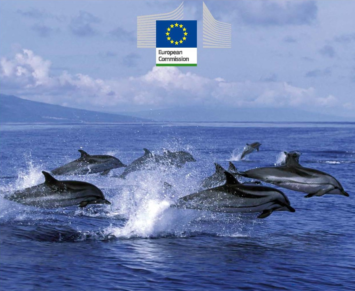 Директива про місця існування: нове керівництво щодо охоронюваних видів