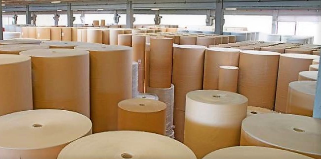 Проведення процедури оцінки впливу на довкілля (ОВД) для планованої діяльності, пов’язаної з виробництвом та переробкою целюлози, паперу та картону