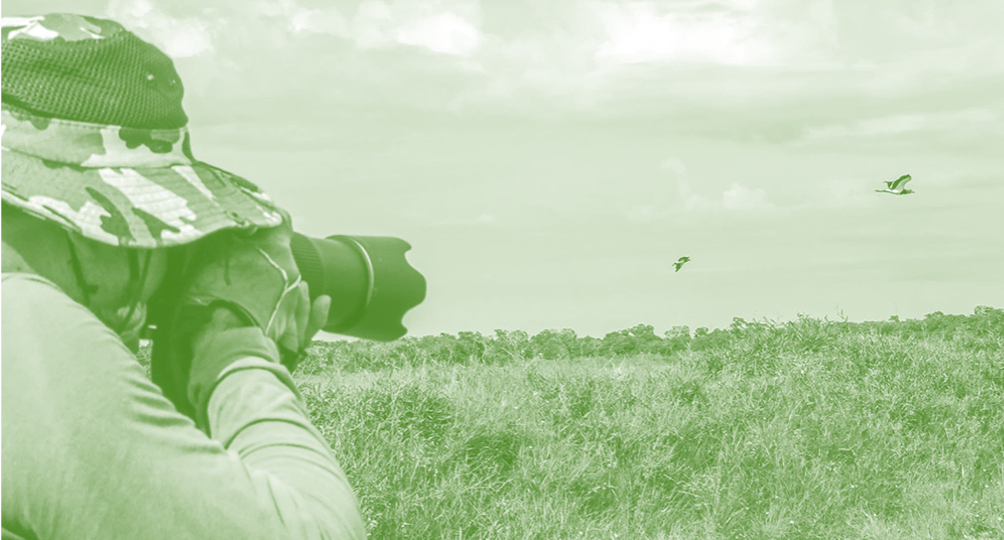 Environmental protection and ecology 